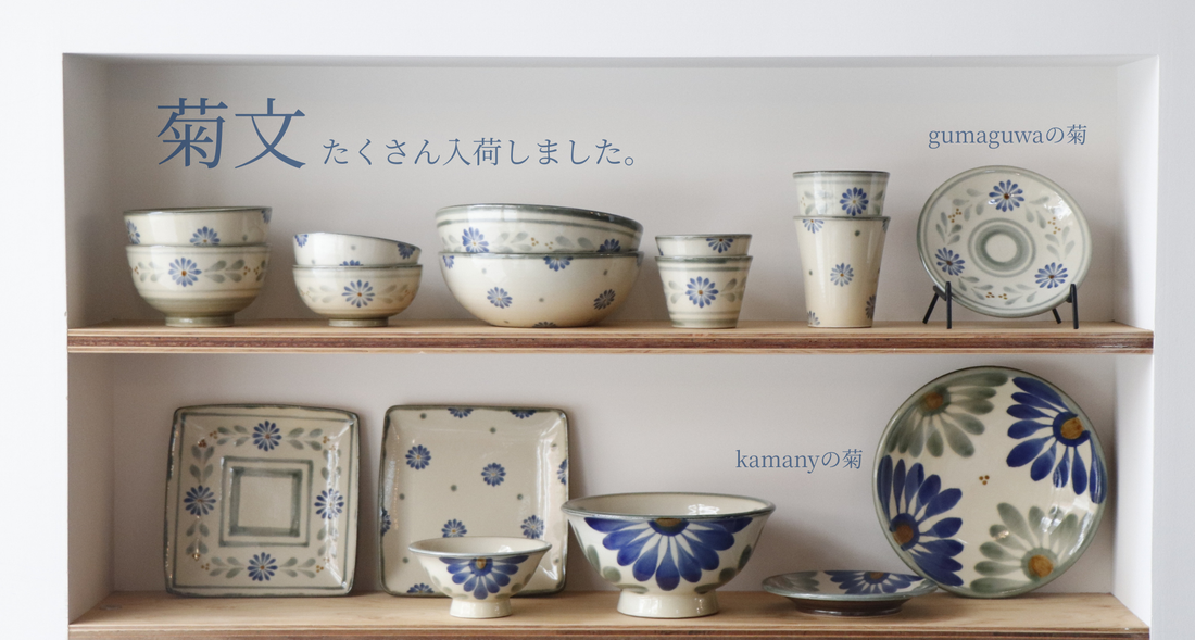 菊文入荷。