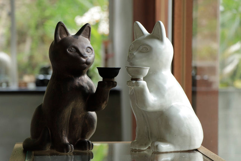 香りをのせる猫マーヤ