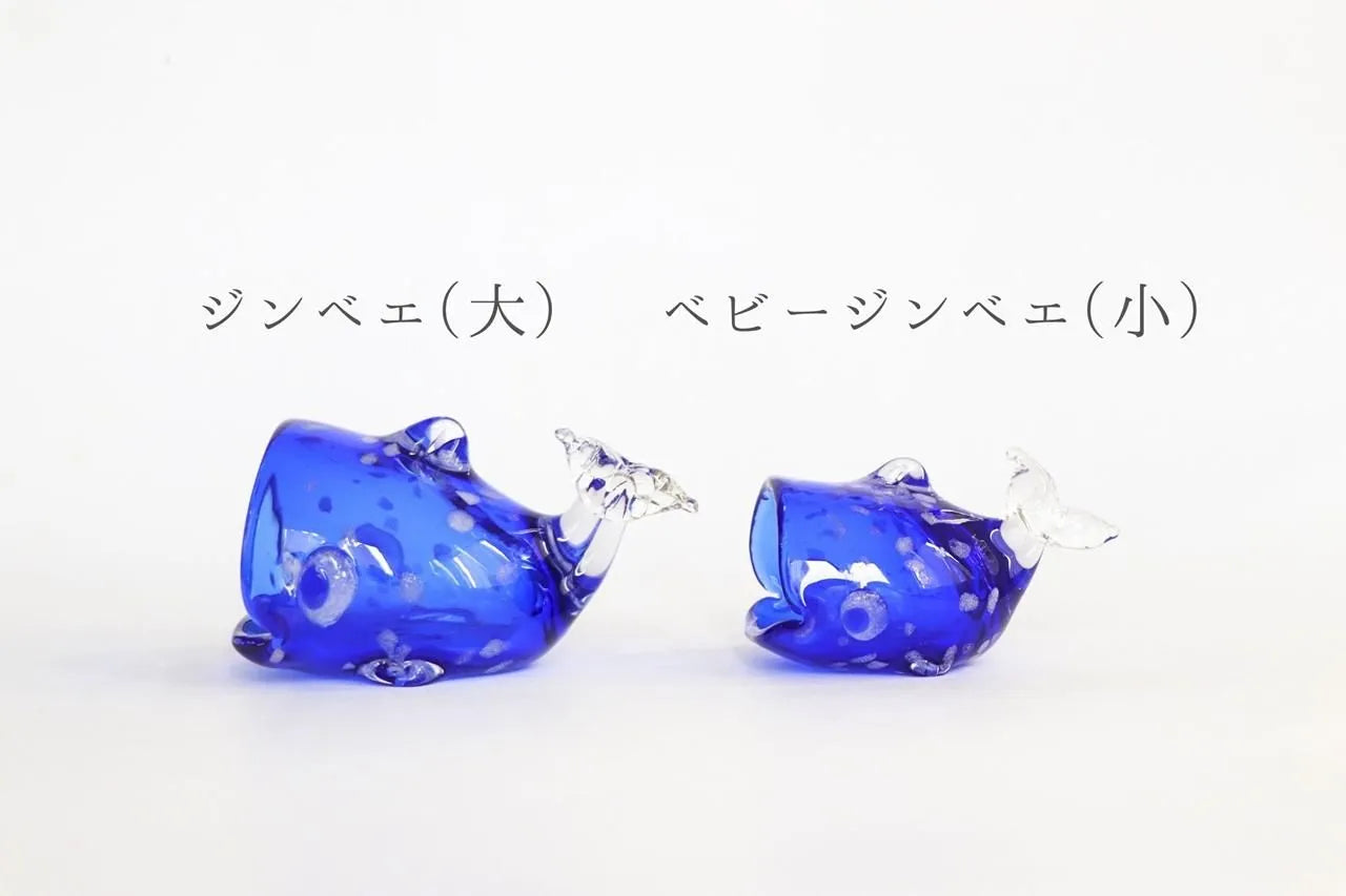 海風 ジンベエ