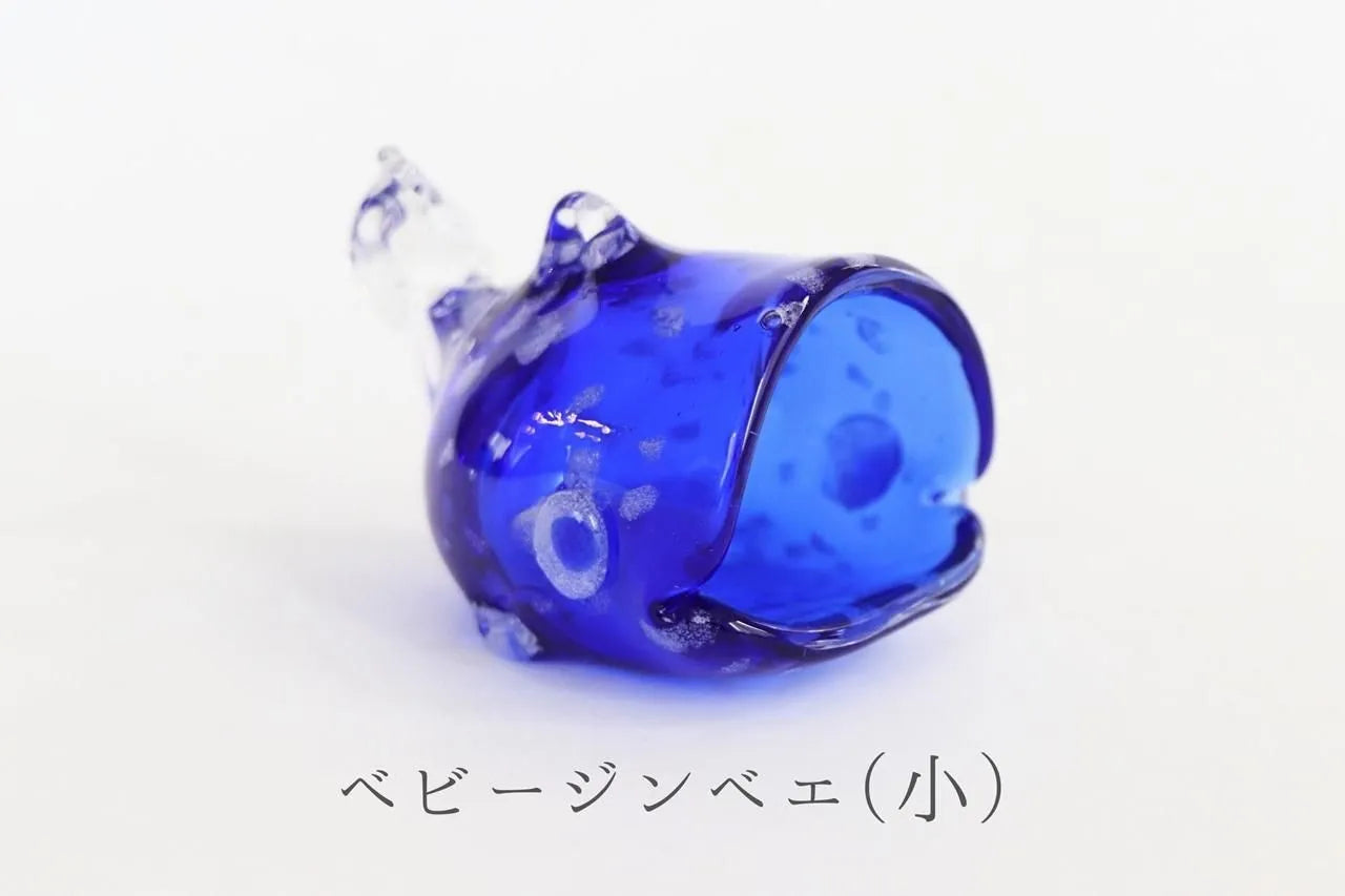 海風 ベビージンベエ