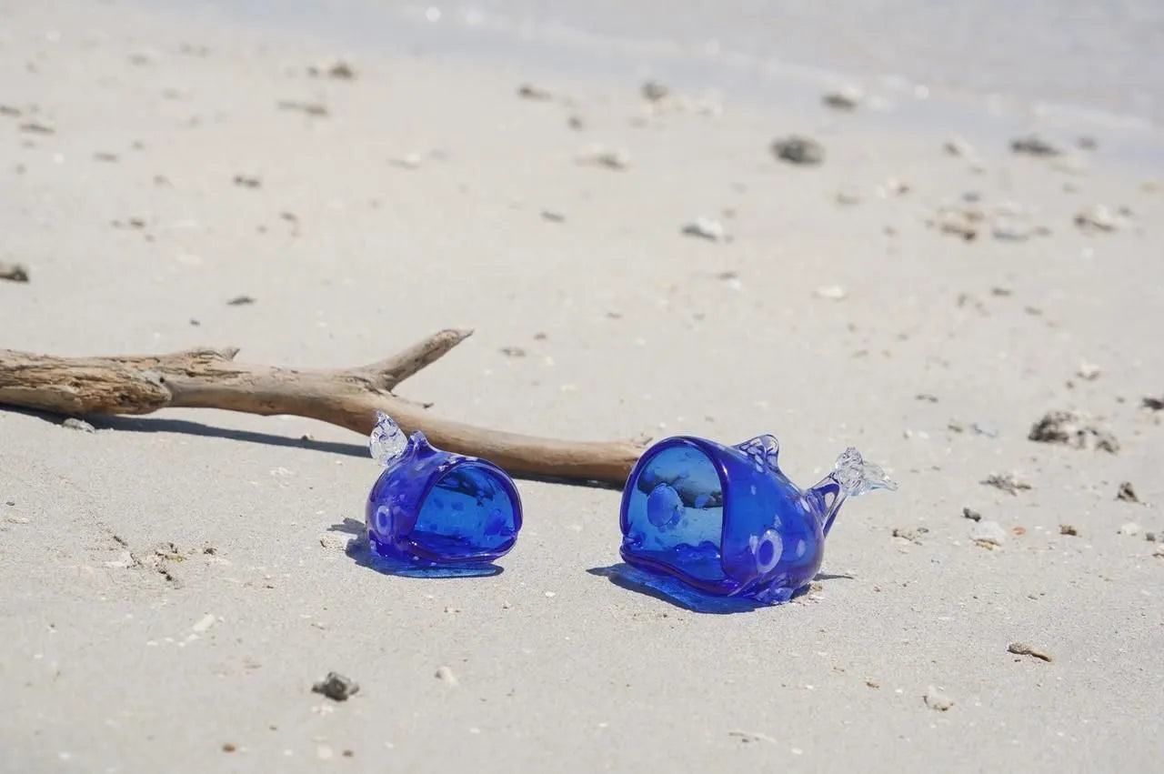 海風 ジンベエ